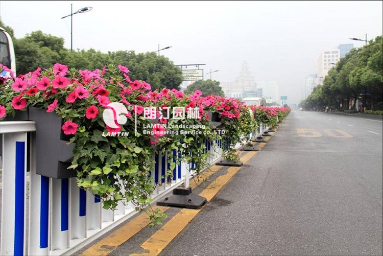 浙江护栏绿化案例