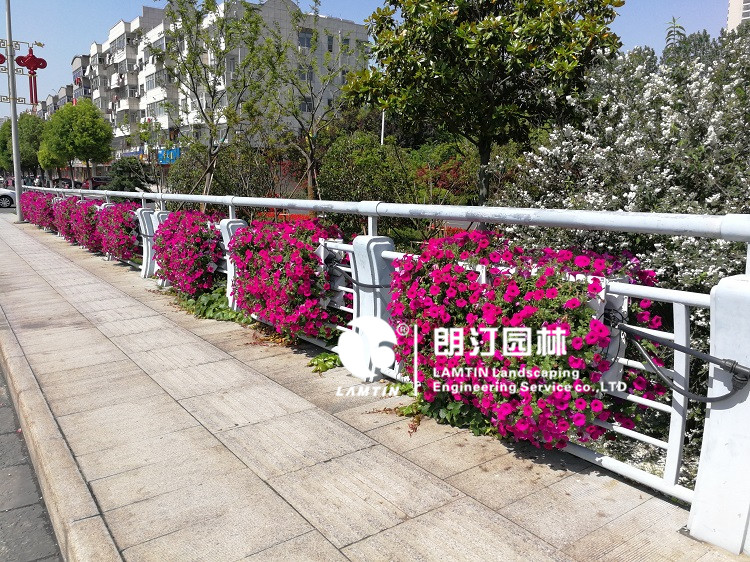 护栏挂花花盆