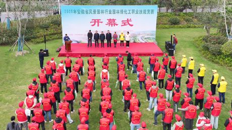 2025갲ʡ羰԰ҵ԰ְ̻ҵܾгɹٰ